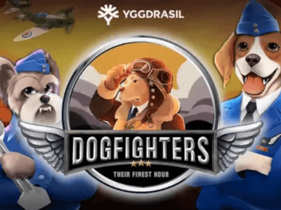 DogFighters - Their Finest Hour