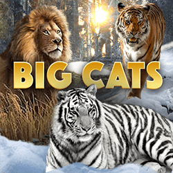 Big Cats