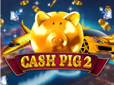 Cash Pig 2