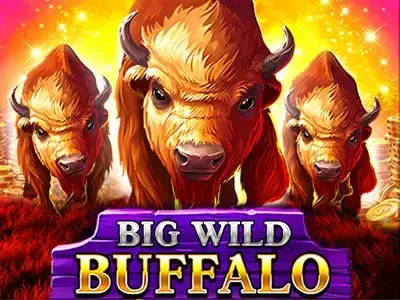 Big Wild Buffalo
