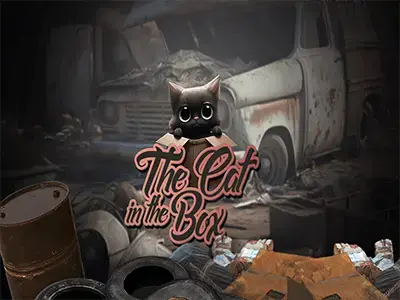 Cat In The Box